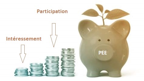 Participation  de l'exercice 2024